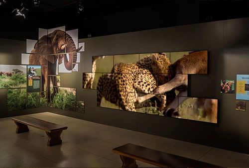 ویدئو وال در موزه ها و نمایشگاه ها ویدئو وال در موزه